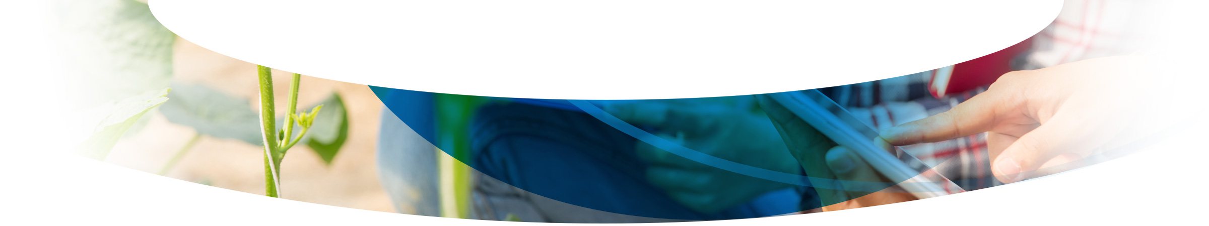 Agrícola Llanos de Marín S.L.