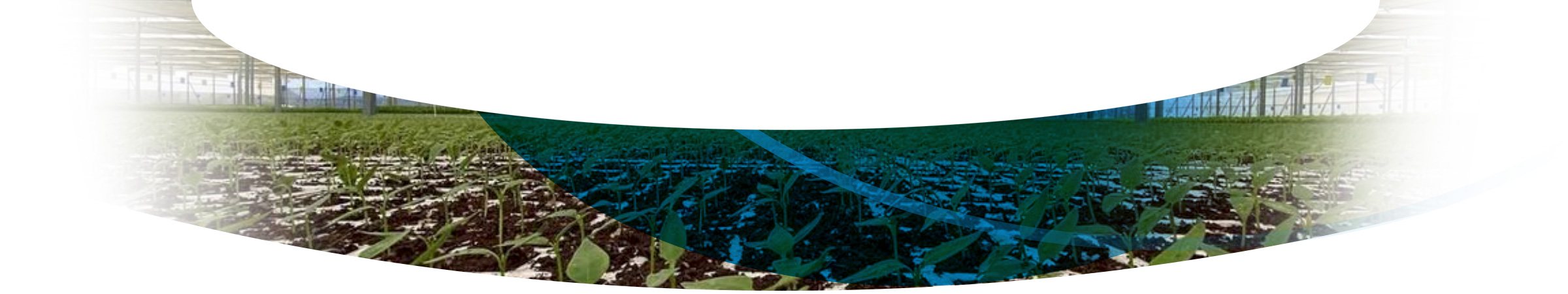 Agrícola Llanos de Marín S.L.