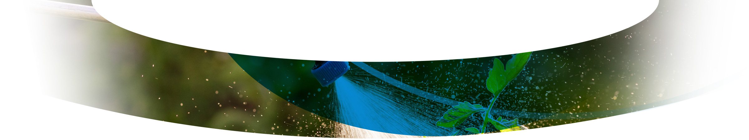 Agrícola Llanos de Marín S.L.