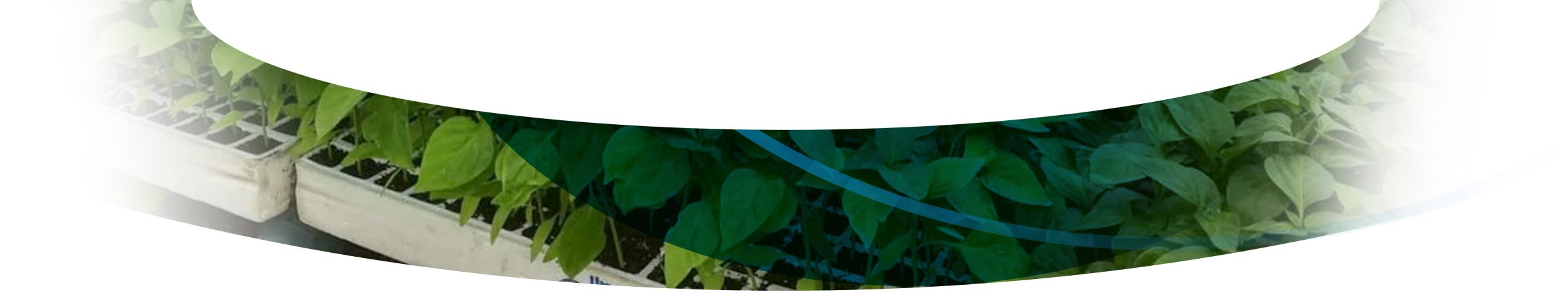 Agrícola Llanos de Marín S.L.